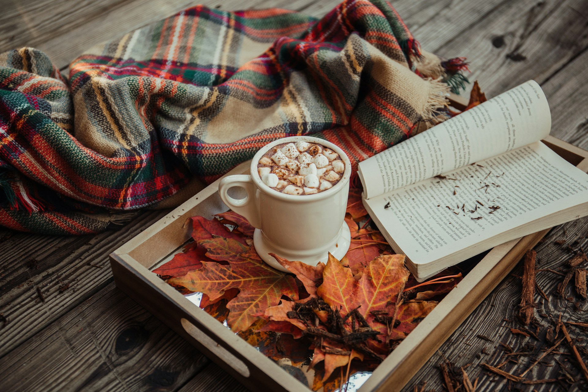 Cozy autumn vibes: a warm drink, a good book, and colorful leaves. Photo by Alisa Anton.