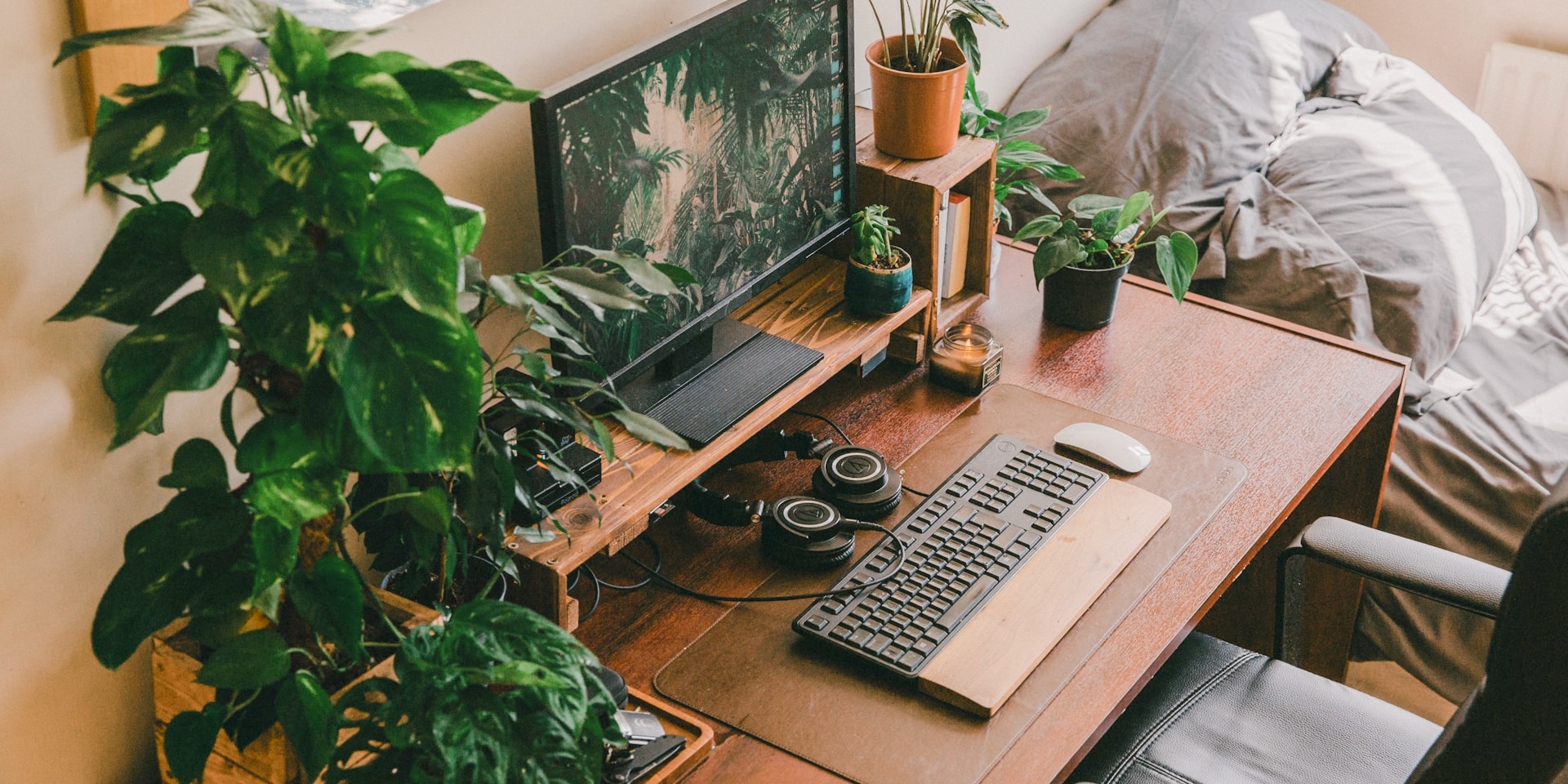 Desk setup with plants. Photo by Amari James.