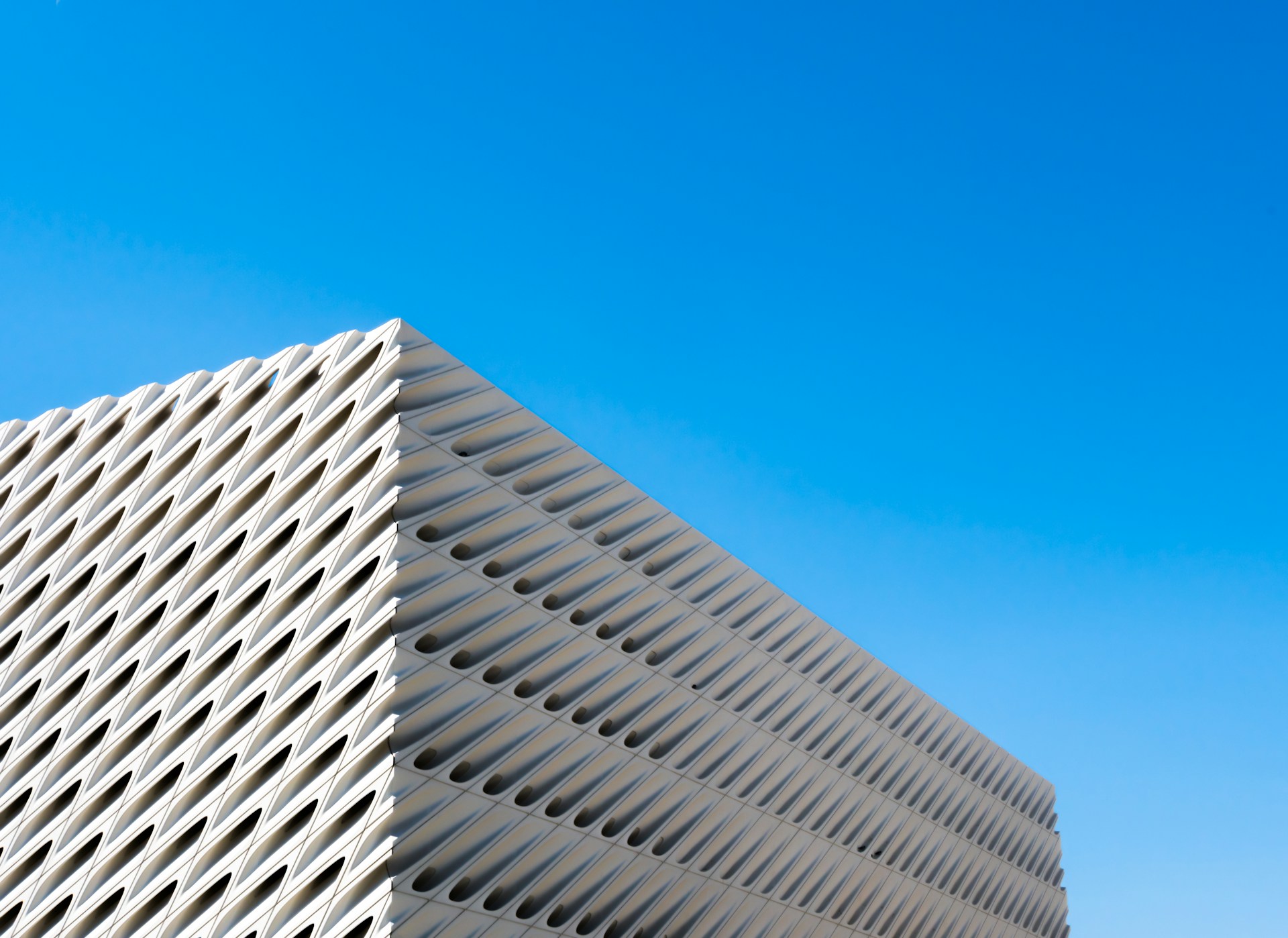 The Broad, Los Angeles. Photo by Logan DeBorde.