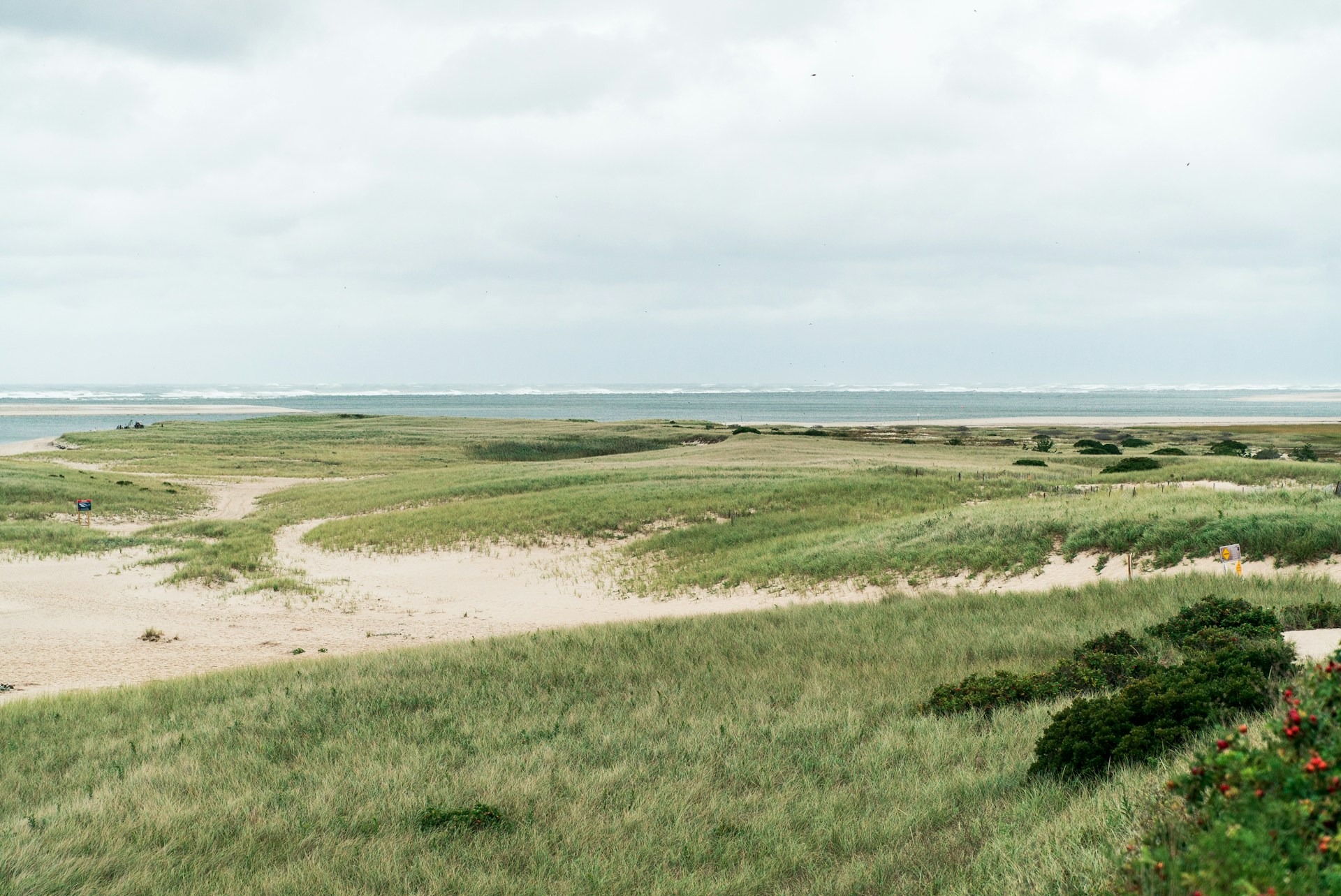 Cape Cod sand dunes on a cloudy day. Photo by Nicholas Bartos.