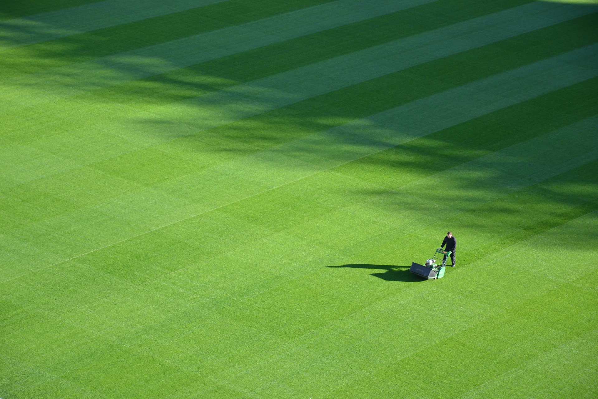 Photo by Rémi Müller.
