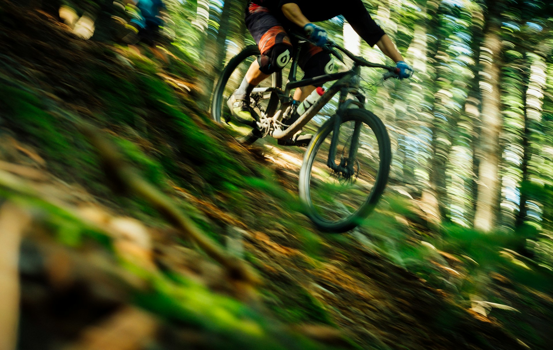 Downhill mountain biking. Photo by Tim Foster.